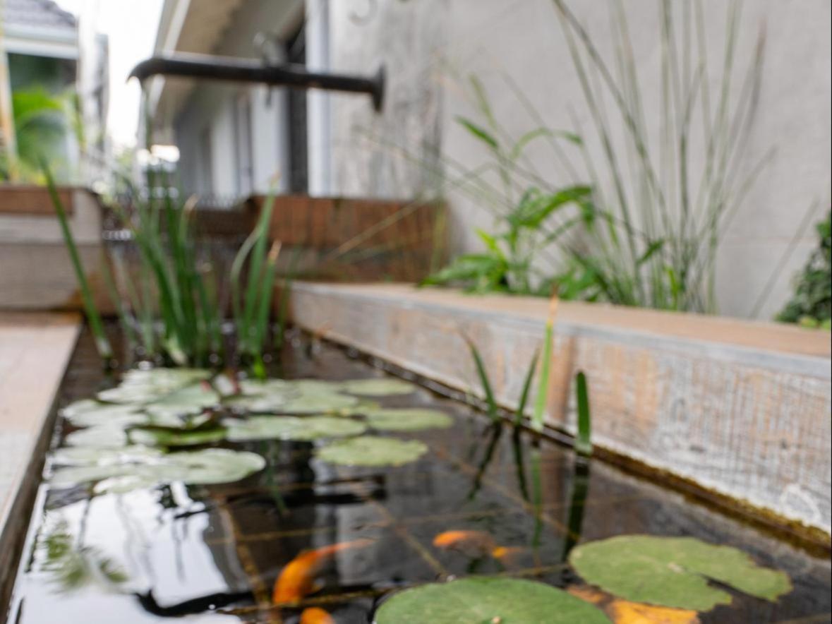 Familia Guesthouse & Boutique Hotel Groblersdal Exterior photo